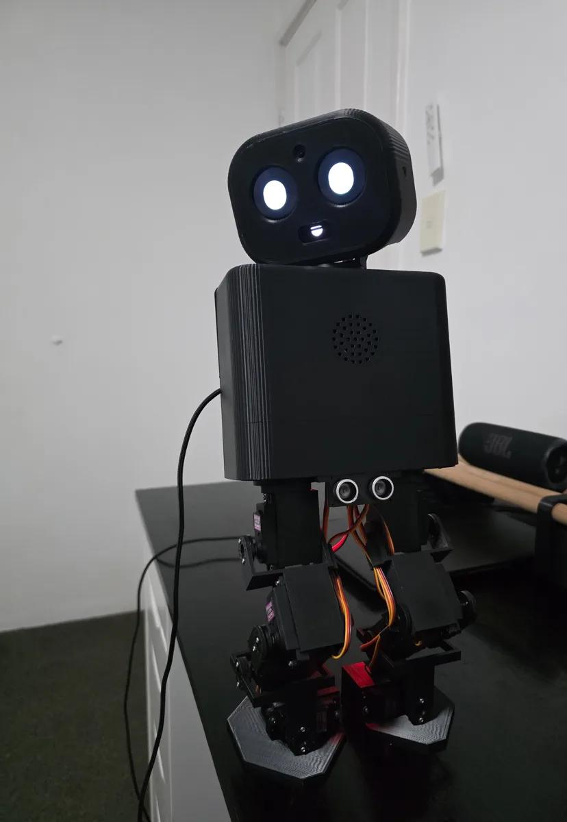 Front: round eyes, OLED mouth, camera, speaker grille and the sonar