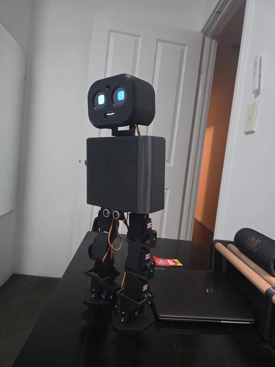 Bip standing on the desk